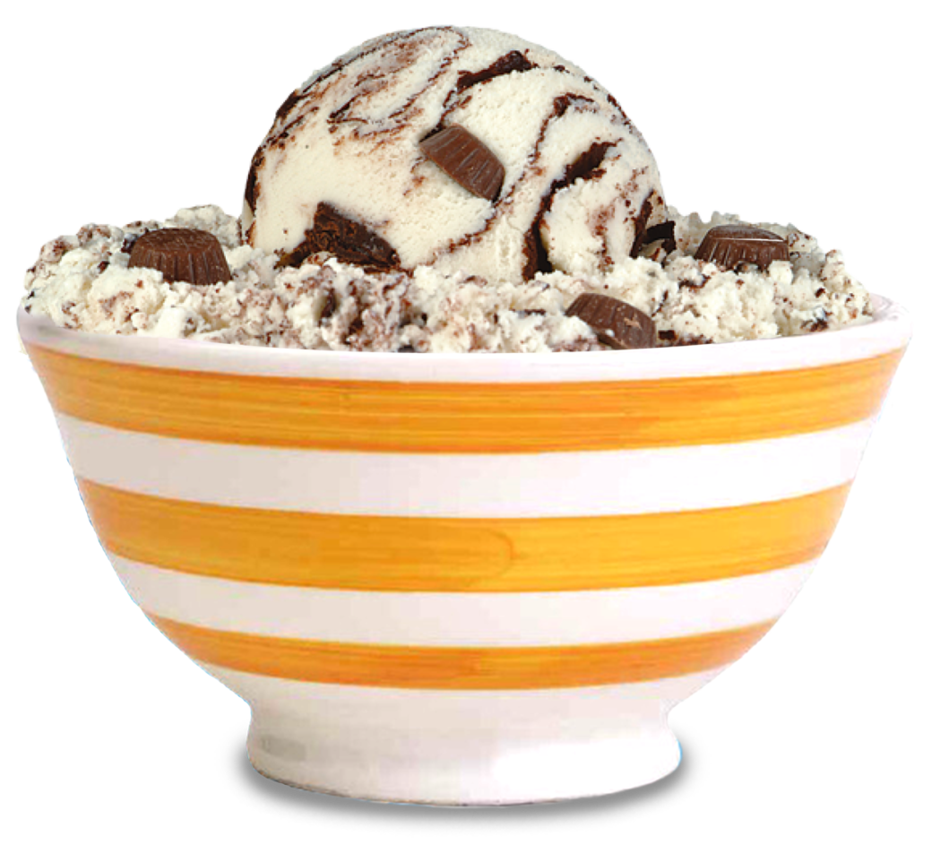 Fudge Cup Moose Tracks in bowl